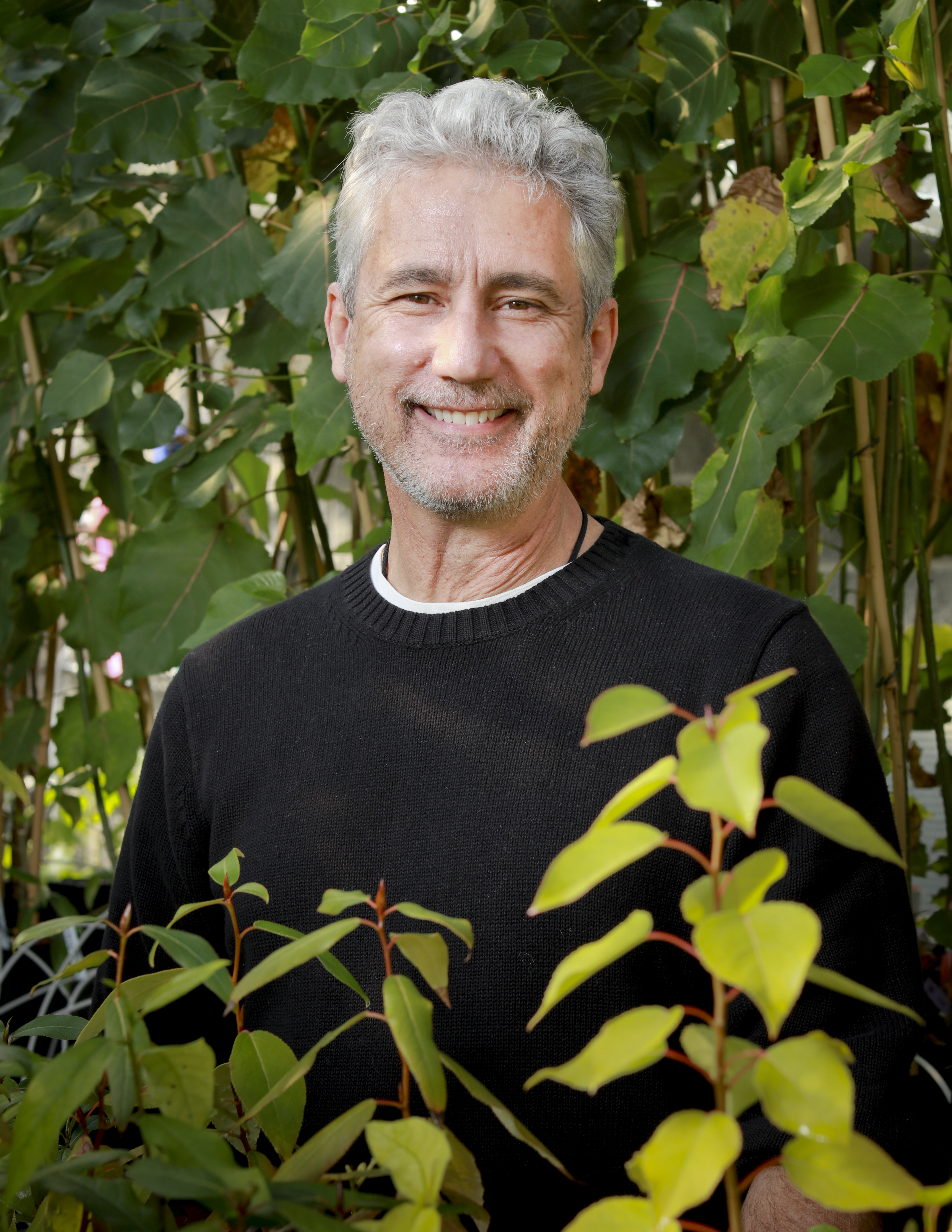 Gerald Tuskan will serve as Chief Executive Officer of the new ORNL-led Center for Bioenergy Innovation, one of four DOE bioenergy research centers.