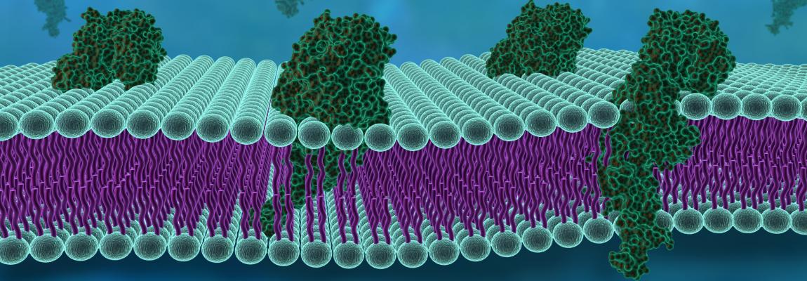 Center for Structural Molecular Biology | ORNL