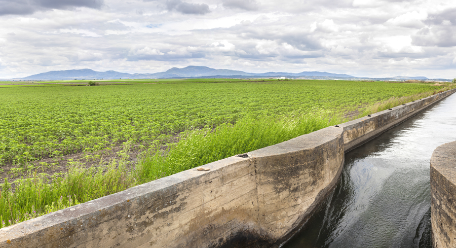 Irrigation Canal