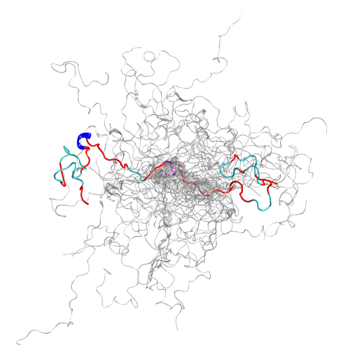 Newswise: Supercomputing, neutrons unite to unravel structures of intrinsically disordered protein