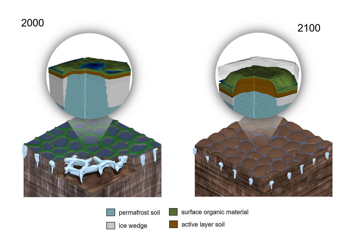 Drying of tundra landscapes will limit subsidence-induced acceleration of  permafrost thaw