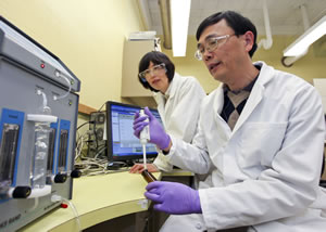 Oak Ridge National Laboratory scientist Liyuan Liang, left, and a team of researchers have identified two genes required for bacteria to transform inorganic mercury in the environment into methylmercury, an organic and far more toxic form. Pictured with Liang is ORNL researcher Baohua Gu.