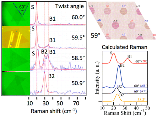Unique twisted bilayers of MoSe2