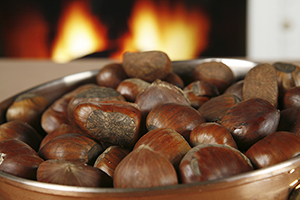 American chestnuts could once again be roasting on open fires instead of Chinese and European varieties. (iStockPhoto)