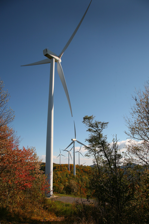 Demand for rare earth elements used in magnets for wind turbines and other green energy applications is the force behind an effort to develop economical substitutes.