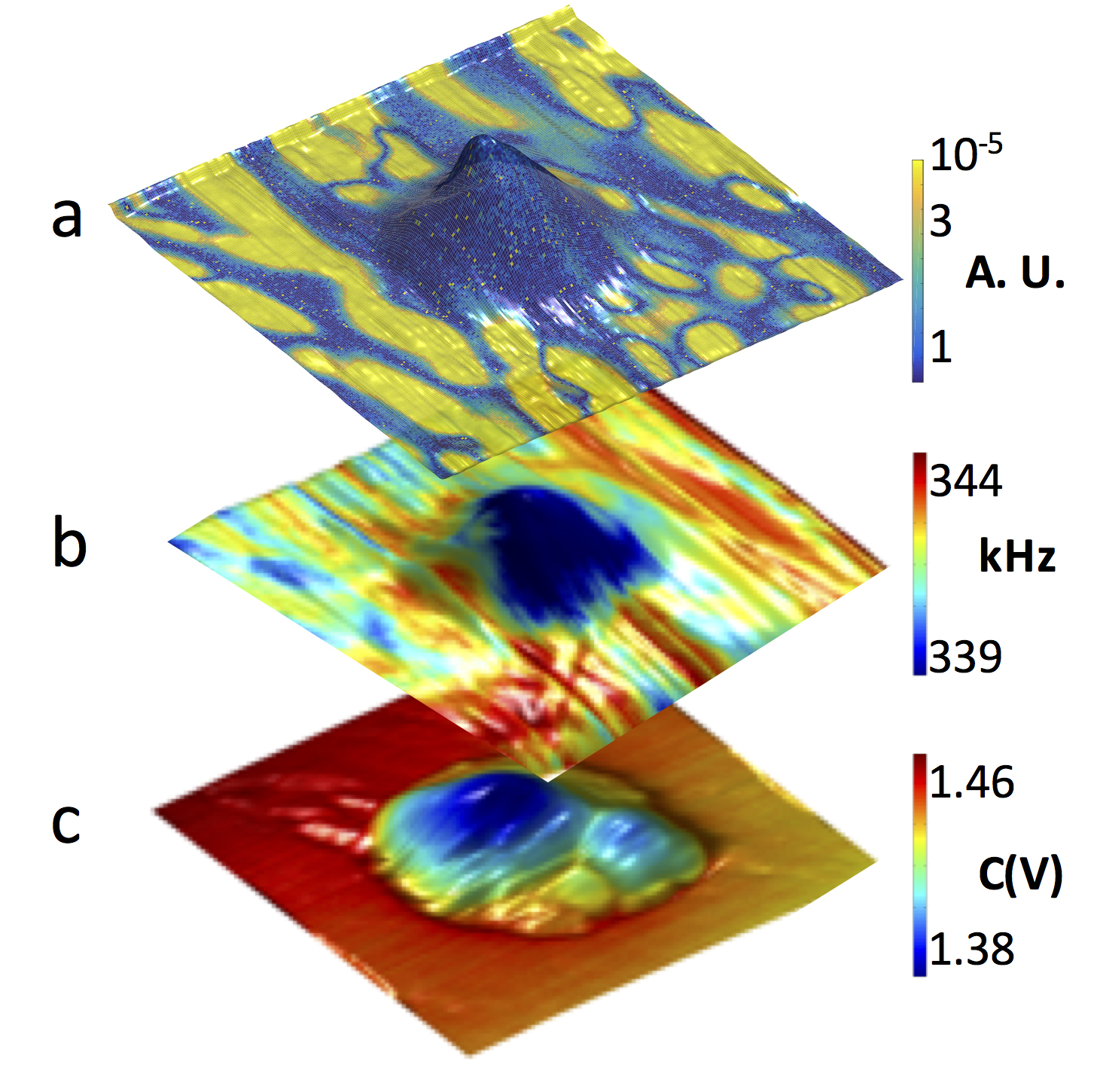  a.) Disappearance domains in the exposed area; as the mound forms yellow regions (ferroelectricity) gradually disappear; b.) Mechanical properties of the material; warmer colors indicate hard areas, cool colors indicate soft areas; c.) Conductivity enhancement; warmer colors show insulating areas, cooler colors show more conductive areas.