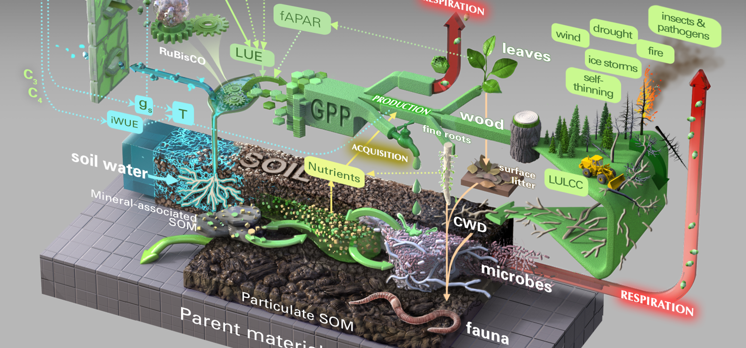 Illustration of FACE MDS Ecosystem