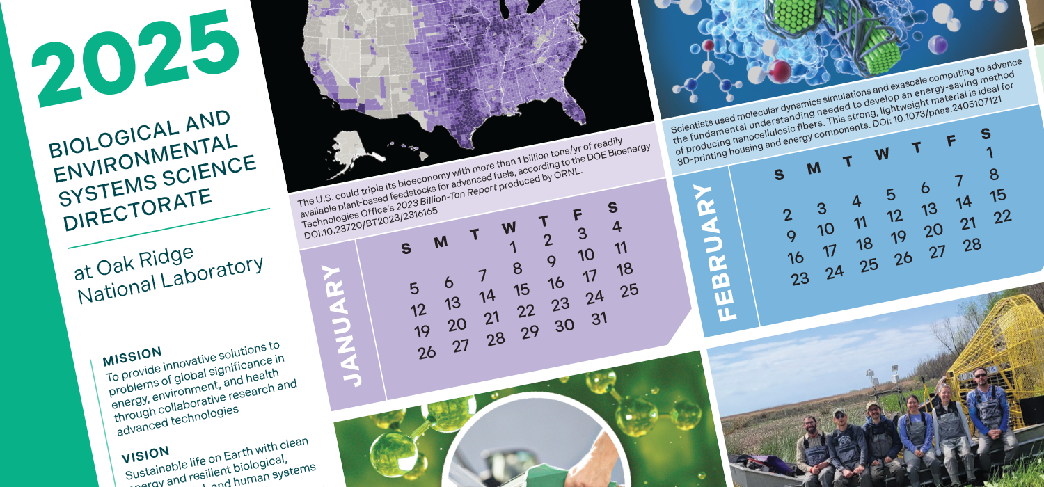 graphic representation of 2025 BESSD calendar