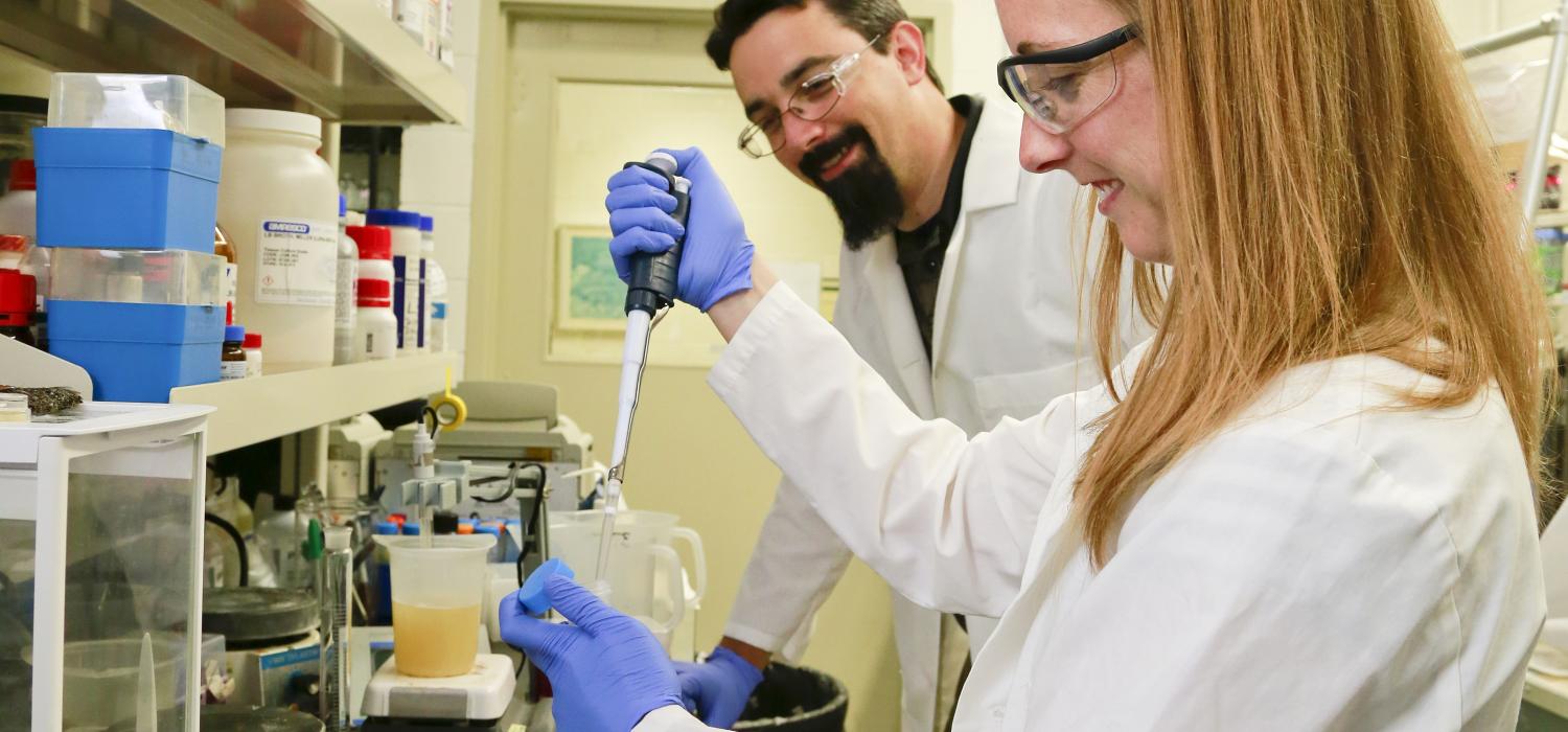Microbe improves isobutanol yields by a factor of 10 Microbe improves isobutanol yields by a factor of 10