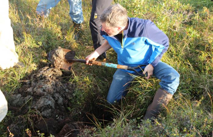 ORNL’s Peter Thornton helps dig into saturated, anoxic soil on the Seward Peninsula.