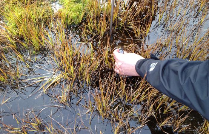 Gas bubbles are released from a saturated part of the Barrow Environmental Observatory.