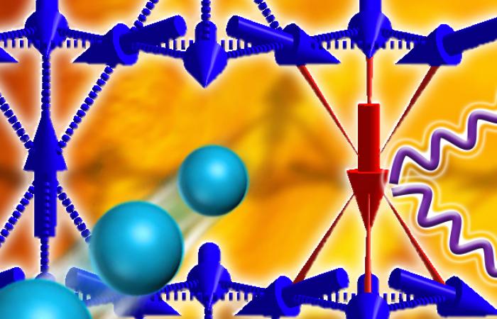 An ORNL-led research team used neutrons (depicted as spheres) to determine the magnetic structure (seen as blue arrows) of an osmium-based material. X-rays (seen as purple waves) revealed the presence of a strong spin orbit effect (illustrated in red).