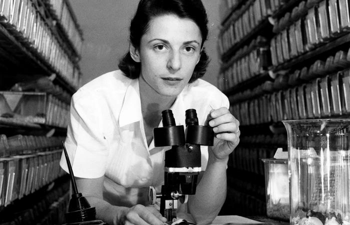 Liane B. Russell at the outset of her scientific career. She came to Oak Ridge in 1947.