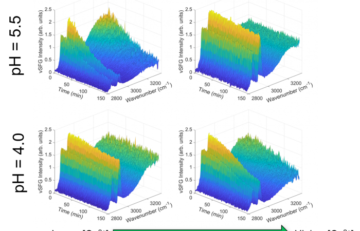 Vibrational sum frequency generation was used to study the liquid extraction of Co2+ using DEHPA ligands at the buried hexadecane/aqueous interface.  These results provide new insight into the mechanisms of selective solvent extraction by mapping  time evolving structures of ligands and solvent species at the same time. Unique H-bonding structures, which are modulated by interfacial charge and pH, are found to drive assembly and ultimately dictate what species are extracted.