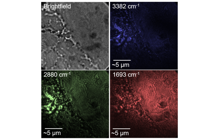 A new time-domain approach to chemical imaging