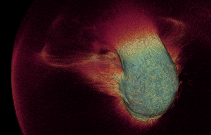 Proton Density Visualization