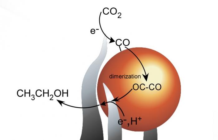 ORNL’s method uses tiny spikes of carbon and copper to turn carbon dioxide, a greenhouse gas, into a sustainable liquid. Credit: Adam Rondinone/Oak Ridge National Laboratory, U.S. Dept. of Energy