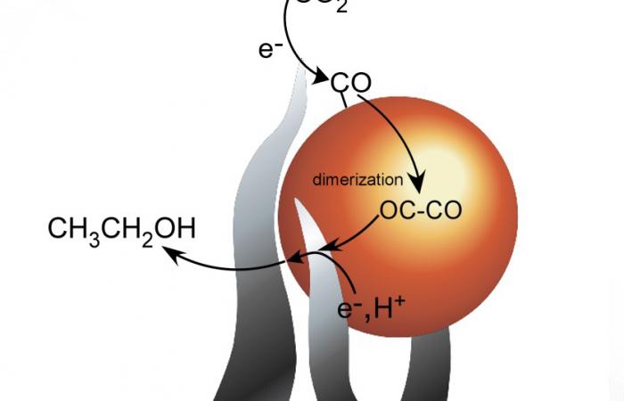 ORNL’s conversion method uses tiny spikes of carbon and copper to turn carbon dioxide, a greenhouse gas, into a sustainable liquid. Credit: Adam Rondinone/Oak Ridge National Laboratory, U.S. Dept. of Energy