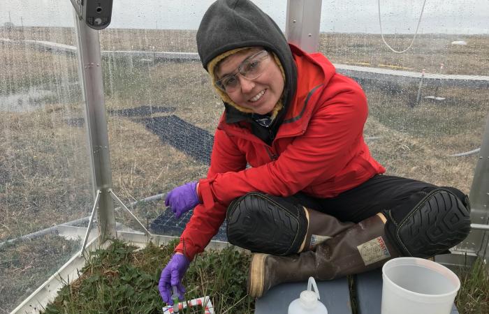 Ecosystem Ecologist Verity Salmon captures and analyzes field data from sites in in Alaska and Minnesota to inform earth system models that are being used to predict environmental change. Credit: Colleen Iversen/Oak Ridge National Laboratory, U.S. Dept. of Energy 
