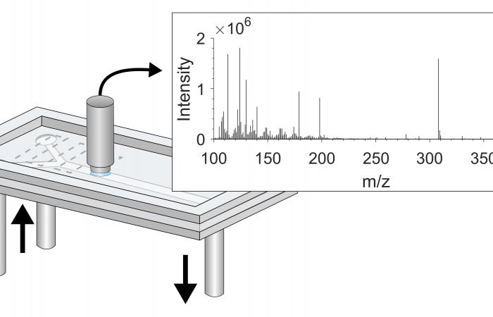 ORNL’s ChemSitu achieves chemical characterization at any location within a microfluidic device and can be used to visualize complex biological processes. Credit: Jack Cahill/ORNL, U.S. Dept. of Energy