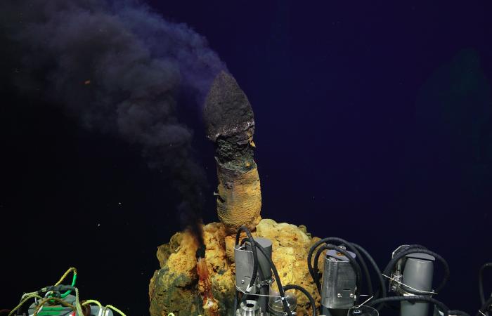 Deep-sea hydrothermal vent chimneys on Brother’s Volcano’s northwest caldera wall create a unique environment for microbes. Credit: Anna-Louise Reysenbach, NSF, ROV Jason and 2018 ©Woods Hole Oceanographic Institution