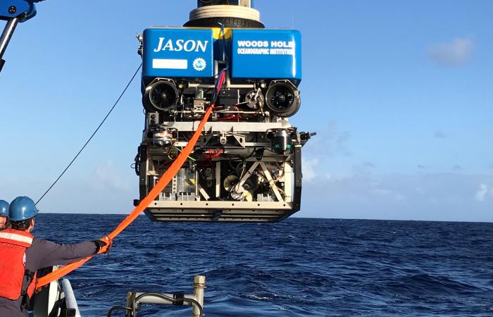 ORNL contributed to the international study, which was led by Portland State University, and leveraged submersible technology from Woods Hole Oceanographic Institute. Credit: Anna-Louise Reysenbach