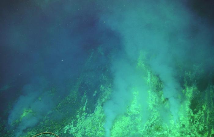Magmatic hydrothermal venting at the cone site in Brother’s Volcano creates a microbial community distinctly different from those at nearby geological features. Credit: Anna-Louise Reysenbach, NSF, ROV Jason and 2018 ©Woods Hole Oceanographic Institution