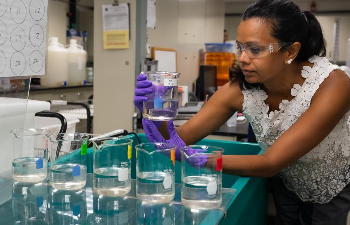 As the leader of ORNL’s Biodiversity and Ecosystem Health Group, environmental scientist Teresa Mathews works to understand the impacts of energy generation on water and solve challenging problems, including mercury pollution. Credit: Carlos Jones/ORNL, U.S. Dept. of Energy