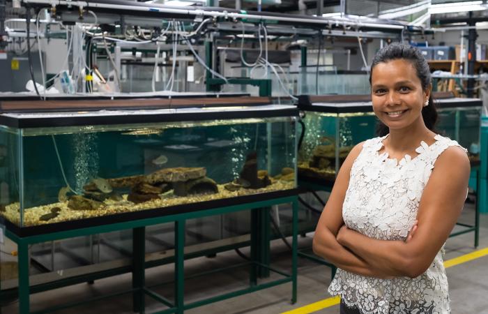 As the leader of ORNL’s Biodiversity and Ecosystem Health Group, environmental scientist Teresa Mathews works to understand the impacts of energy generation on water and solve challenging problems, including mercury pollution. Credit: Carlos Jones/ORNL, U.S. Dept. of Energy