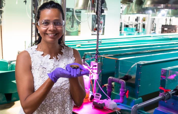 As the leader of ORNL's Biodiversity and Ecosystem Health Group, environmental scientist Teresa Mathews works to understand the impacts of energy generation on water and solve challenging problems, including mercury pollution. Credit: Carlos Jones/ORNL, U.S. Dept. of Energy