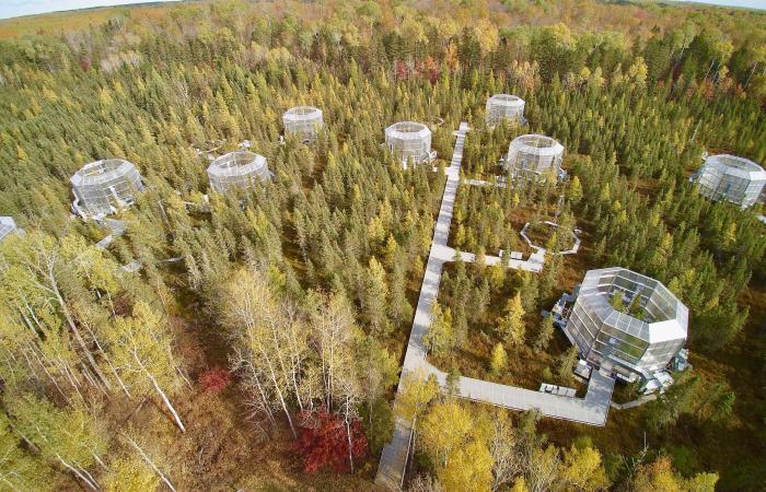 The SPRUCE experiment, managed by Oak Ridge National Laboratory, provides a unique opportunity to gather and analyze data on how warming and elevated carbon dioxide levels affect carbon-rich peatlands in northern latitudes. Credit: ORNL/U.S. Dept. of Energy