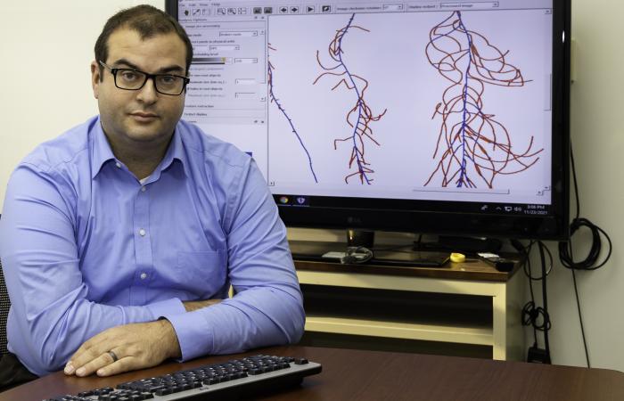 Root biologist Larry York developed easy-to-use image analysis software that accurately measures plant roots. Credit: Carlos Jones/ORNL, U.S. Dept. of Energy