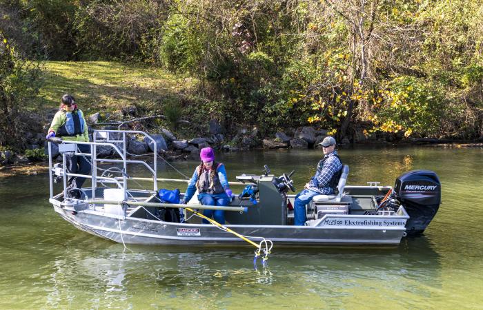 From left, ORNL’s Brenda Pracheil, Kristine Moody and Trent Jett collect water samples at Melton Hill Lake using a sophisticated instrument that collects DNA in the water to determine fish species and number of fish in the water, which could prove useful for monitoring hydropower impacts. Credit: Carlos Jones, ORNL/U.S Dept. of Energy