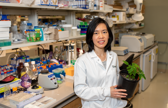 Chunlin Zhuo is a postdoctoral researcher at the University of North Texas BioDiscovery Institute. Credit: University of North Texas