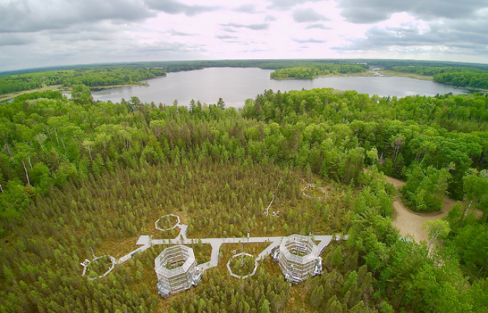 SPRUCE Experiment 