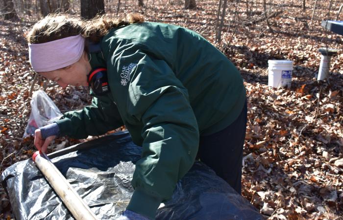 Elizabeth Herndon, shown here sampling soil in the Walker Branch watershed in Oak Ridge, Tennessee, is working with ORNL colleagues to study the impacts of manganese on soil carbon and the climate. Credit: Fernanda Santos/ORNL, U.S. Dept. of Energy