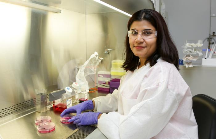 Debjani Pal’s work with cancer cell lines informed the linkage between signaling pathways in the PAN protein domain and the growth of cancerous tumors. Credit: Genevieve Martin/ORNL, U.S. Dept. of Energy
