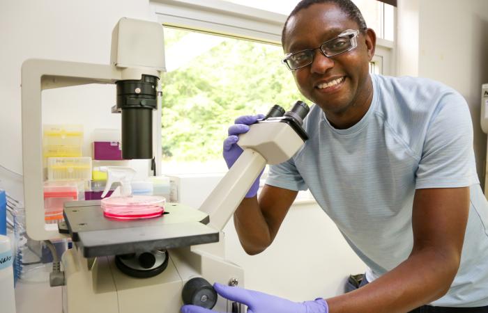 Geneticist Wellington Muchero leads the research team at ORNL that has linked the PAN protein domain to tumor growth in humans and plant-microbe interactions in plants. Credit: Genevieve Martin/ORNL, U.S. Dept. of Energy