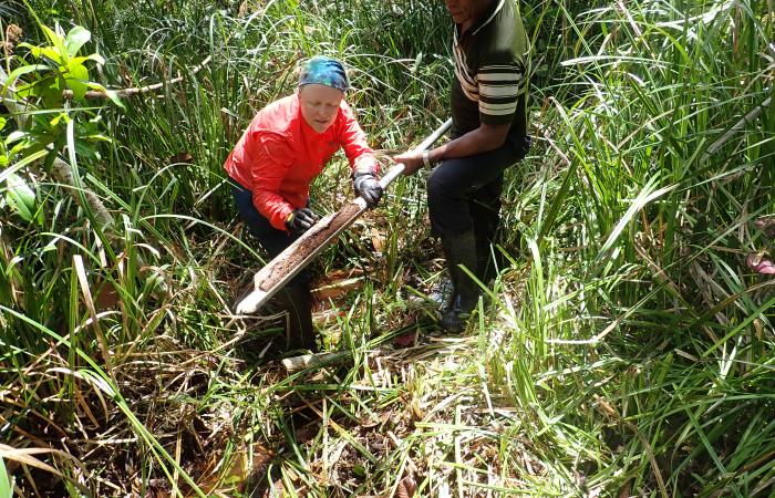 ORNL’s Melanie Mayes investigates soil at an experimental site in Panama along with Eric Brown of the Smithsonian Tropical Research Institute. Credit: Chongle Pan/ORNL, U.S. Dept. of Energy