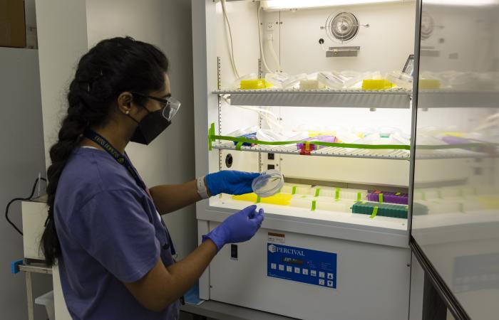 Muneeba Khalid examines a rhizosphere-on-a-chip sample in a Biosciences Division laboratory at ORNL. Credit: Carlos Jones/ORNL, U.S. Dept. of Energy