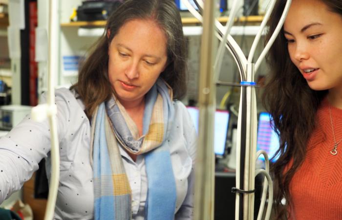 Q-NEXT collaborator Elizabeth Goldschmidt (left) works with graduate student Danielle Woods at the University of Illinois at Urbana-Champaign. Credit: Jessica Raley, UIUC