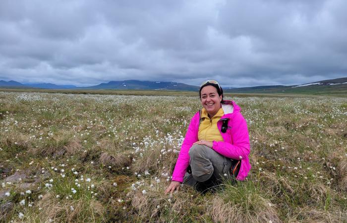Biogeochemist Fernanda Santos works at a soil sampling site in Alaska as part of the ORNL-led NGEE–Arctic project. Credit: Amy Breen/University of Alaska Fairbanks  