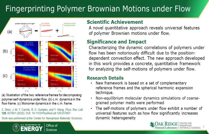 Fingerprinting Polymer Brownian Motions under Flow (92763)