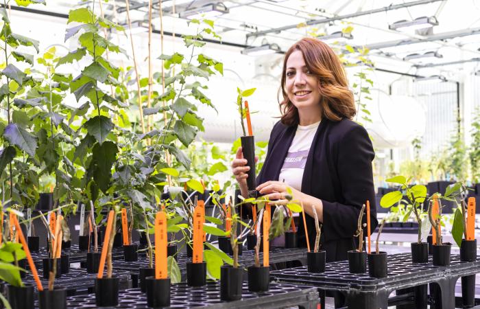 Fungal geneticist Joanna Tannous is gaining a better understanding of the genetic processes behind fungal life to both combat plant disease and encourage beneficial processes like soil carbon storage. Credit: Carlos Jones/ORNL, U.S. Dept. of Energy 