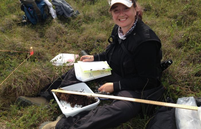 Colleen Iversen, new NGEE Arctic director, collects soil samples in the Alaskan tundra. Credit: ORNL, U.S. Dept. of Energy