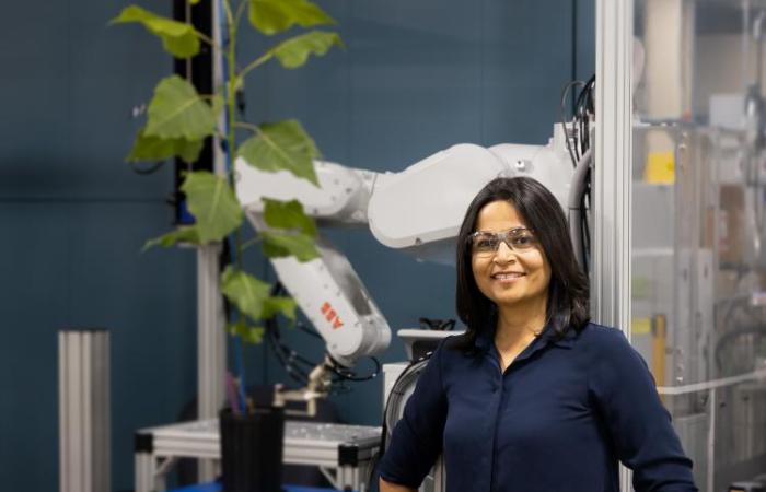 ORNL's Udaya Kalluri led an interdisciplinary team in developing SMART Plant 1.0 to accelerate the pace of plant transformation. Credit: Carlos Jones/ORNL, U.S. Dept. of Energy