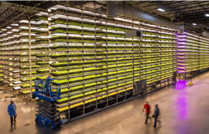 Combined heat and power system in operation