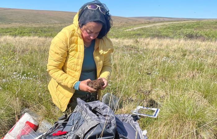 ORNL’s Fernanda Santos examines a soil sample at an NGEE Arctic field site in the Alaskan tundra in June 2022. Credit: Amy Breen, University of Alaska Fairbanks.