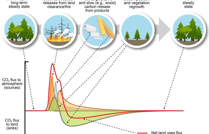From Chapter 6 of the Fifth National Climate Assessment, this figure illustrates how changes in land cover and use affect fluxes of carbon taken up on land or released to the atmosphere, with impacts on these fluxes lasting for decades to centuries. Credit: ORNL, U.S. Dept. of Energy.