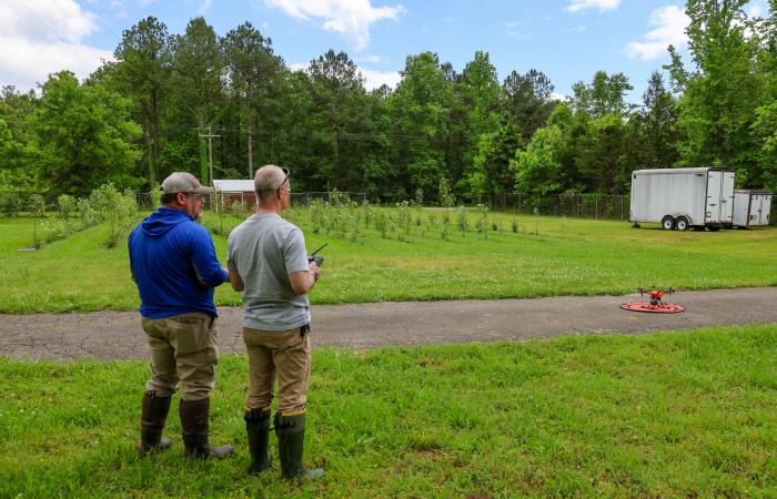 Researchers use drones to take aerial measurements of poplar field.